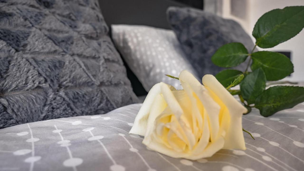 Apartment Delux 14 Subotica Dış mekan fotoğraf